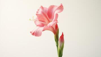 Photo of beautiful Gladiolus flower isolated on white background. Generative AI