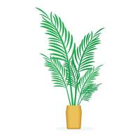 vector areca palma hoja aislado en blanco antecedentes