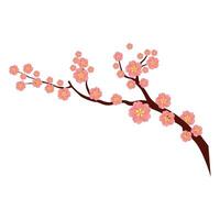 Vector sakura branches and flowers