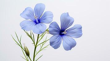 Photo of beautiful Flax flower isolated on white background. Generative AI