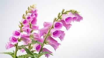 Photo of beautiful Foxglove flower isolated on white background. Generative AI