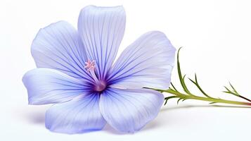 foto de hermosa linaza flor aislado en blanco antecedentes. generativo ai