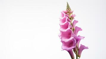 Photo of beautiful Foxglove flower isolated on white background. Generative AI