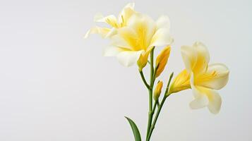 Photo of beautiful Freesia flower isolated on white background. Generative AI