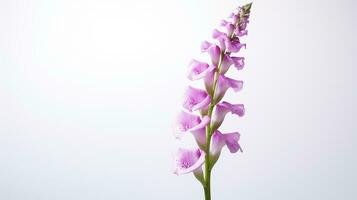 Photo of beautiful Foxglove flower isolated on white background. Generative AI