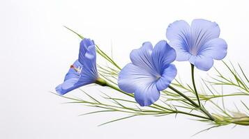 Photo of beautiful Flax flower isolated on white background. Generative AI