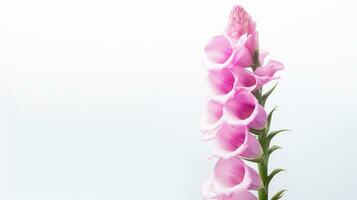 Photo of beautiful Foxglove flower isolated on white background. Generative AI