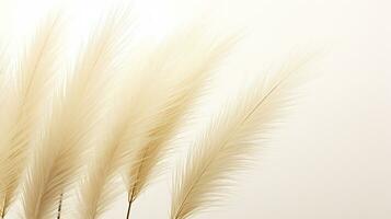 foto de hermosa pluma Junco césped flor aislado en blanco antecedentes. generativo ai