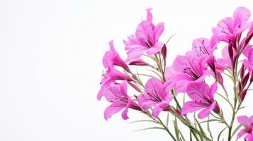 foto de hermosa fireweed flor aislado en blanco antecedentes. generativo ai