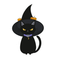 The witch cat png