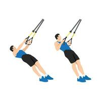 Man doing TRX Suspension strap rows exercise. Flat vector illustration isolated on white background