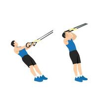 Man doing TRX Suspension strap bicep curls exercise. Flat vector illustration isolated on white background