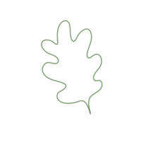 hand drawn abstract leaf  doodles, squiggle and swirl lines png