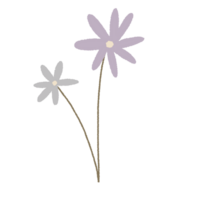 Hand drawn flower floral minimal pastel colour png