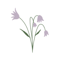 Hand gezeichnet Lilie Blume Blumen- minimal Pastell- Farbe png