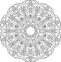 Mandala. Ethnic decorative element. Hand drawn backdrop. Islam, Arabic, Indian, ottoman motifs. vector