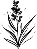 lavanda - negro y blanco aislado icono - vector ilustración