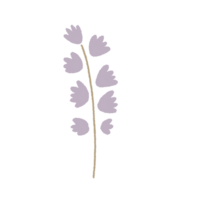 mano disegnato fiore floreale minimo pastello colore png