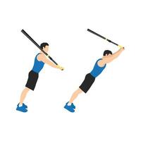 Man doing Standing TRX Suspension strap ab rollout. abdominal roller exercise side view. vector illustration isolated on background