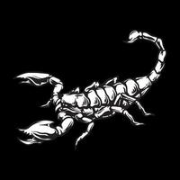 Scorpio vector art