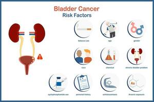 Medical vector illustration in flat style. Infographic bladder cancer risk factors such as tobacco users, arsenic exposure, chronic cystitis, cyclophosphamide users ,gender,age,personal history etc.