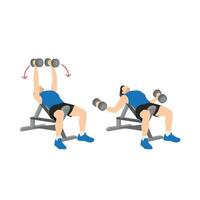 Man doing Incline bench dumbbell flyes exercise. Flat vector illustration isolated on white background