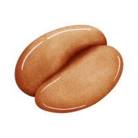 grains de café sur fond transparent png