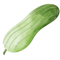 Pepino en un transparente antecedentes png