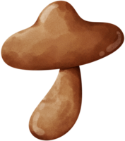 marron champignon sur une transparent Contexte png