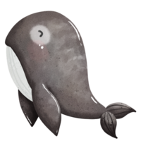Cartoon whale clipart png