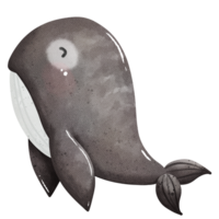 tekenfilm walvis clip art png