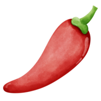 red chili pepper watercolor clipart png