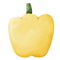 yellow pepper on a transparent background png