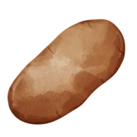 potato png illustration