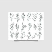 Beauty of Hand Drawn Floral Elements with vintage and rustic style vector