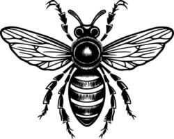 Bee, Black and White Vector illustration