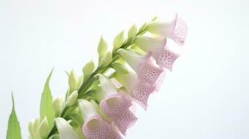 Photo of beautiful Digitalis flower isolated on white background. Generative AI