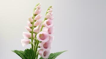 Photo of beautiful Digitalis flower isolated on white background. Generative AI