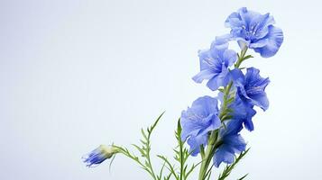 Photo of beautiful Delphinium flower isolated on white background. Generative AI