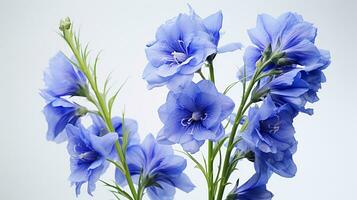 Photo of beautiful Delphinium flower isolated on white background. Generative AI