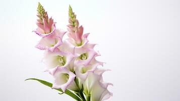 Photo of beautiful Digitalis flower isolated on white background. Generative AI