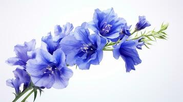 Photo of beautiful Delphinium flower isolated on white background. Generative AI