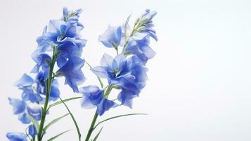 Photo of beautiful Delphinium flower isolated on white background. Generative AI