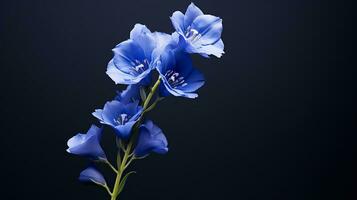 Photo of beautiful Delphinium flower isolated on white background. Generative AI