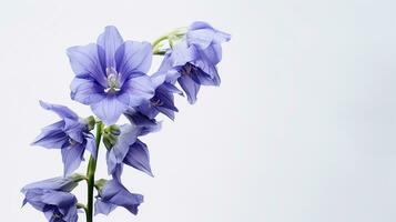 Photo of beautiful Delphinium flower isolated on white background. Generative AI