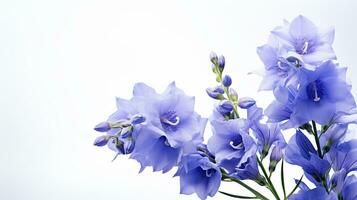 Photo of beautiful Delphinium flower isolated on white background. Generative AI