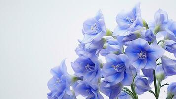 Photo of beautiful Delphinium flower isolated on white background. Generative AI