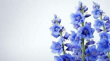 Photo of beautiful Delphinium flower isolated on white background. Generative AI