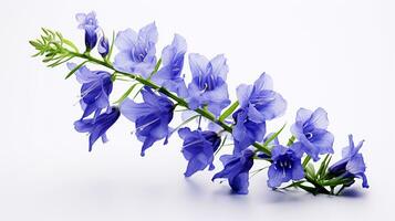 Photo of beautiful Delphinium flower isolated on white background. Generative AI