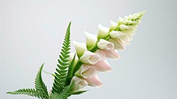 Photo of beautiful Digitalis flower isolated on white background. Generative AI
